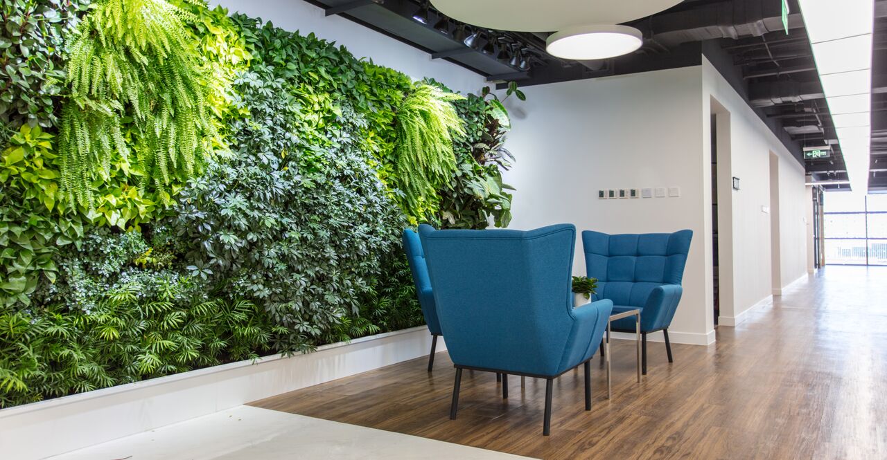 Interior shot of seating area in a modern office with a green wall